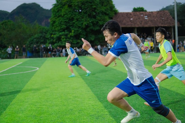 这或将引发 这或将引发