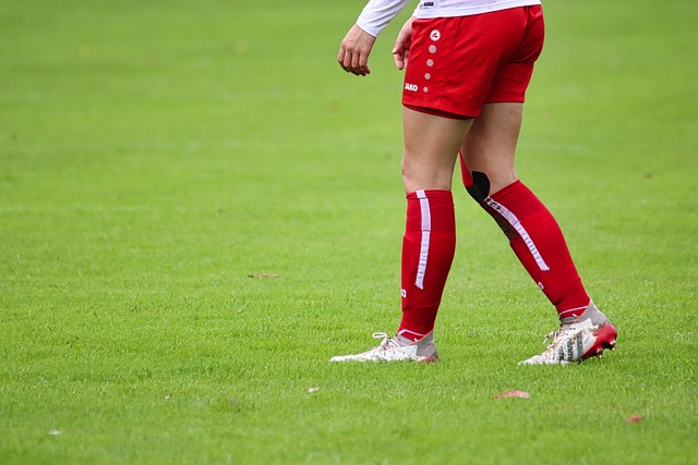 的长传多次 的长传多次