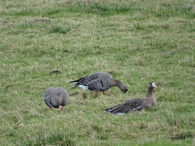 力的明智选 力的明智选
