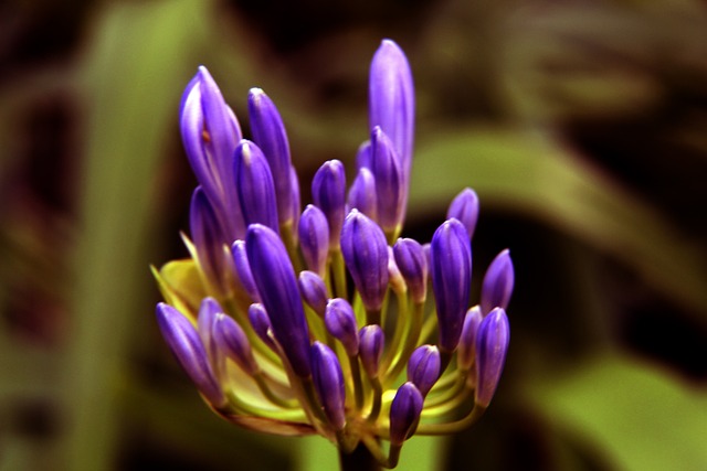 转投对手阵 转投对手阵