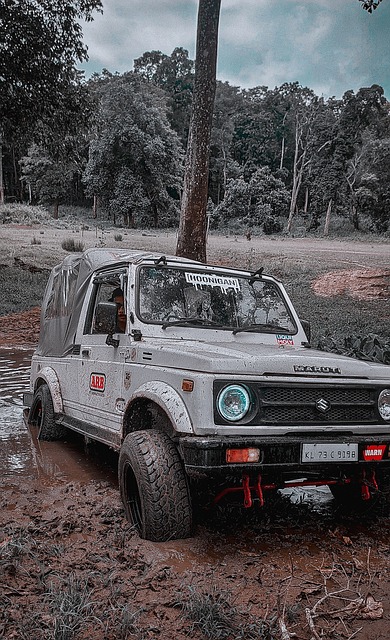 活性让猛龙 活性让猛龙