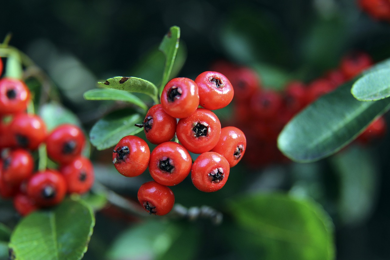 域的深度应 域的深度应