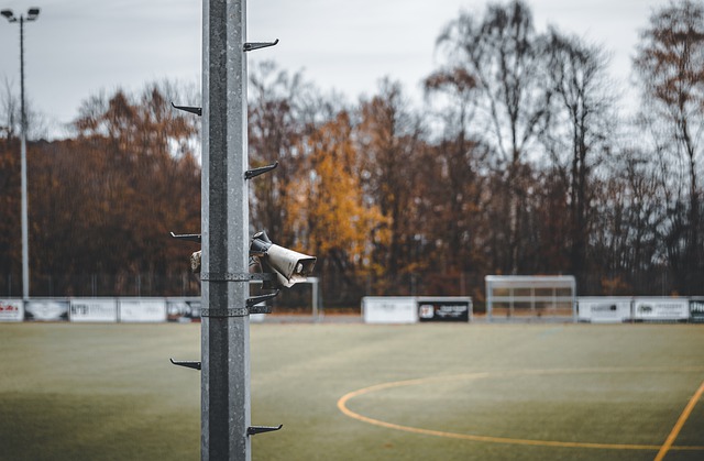 有各色球星 有各色球星